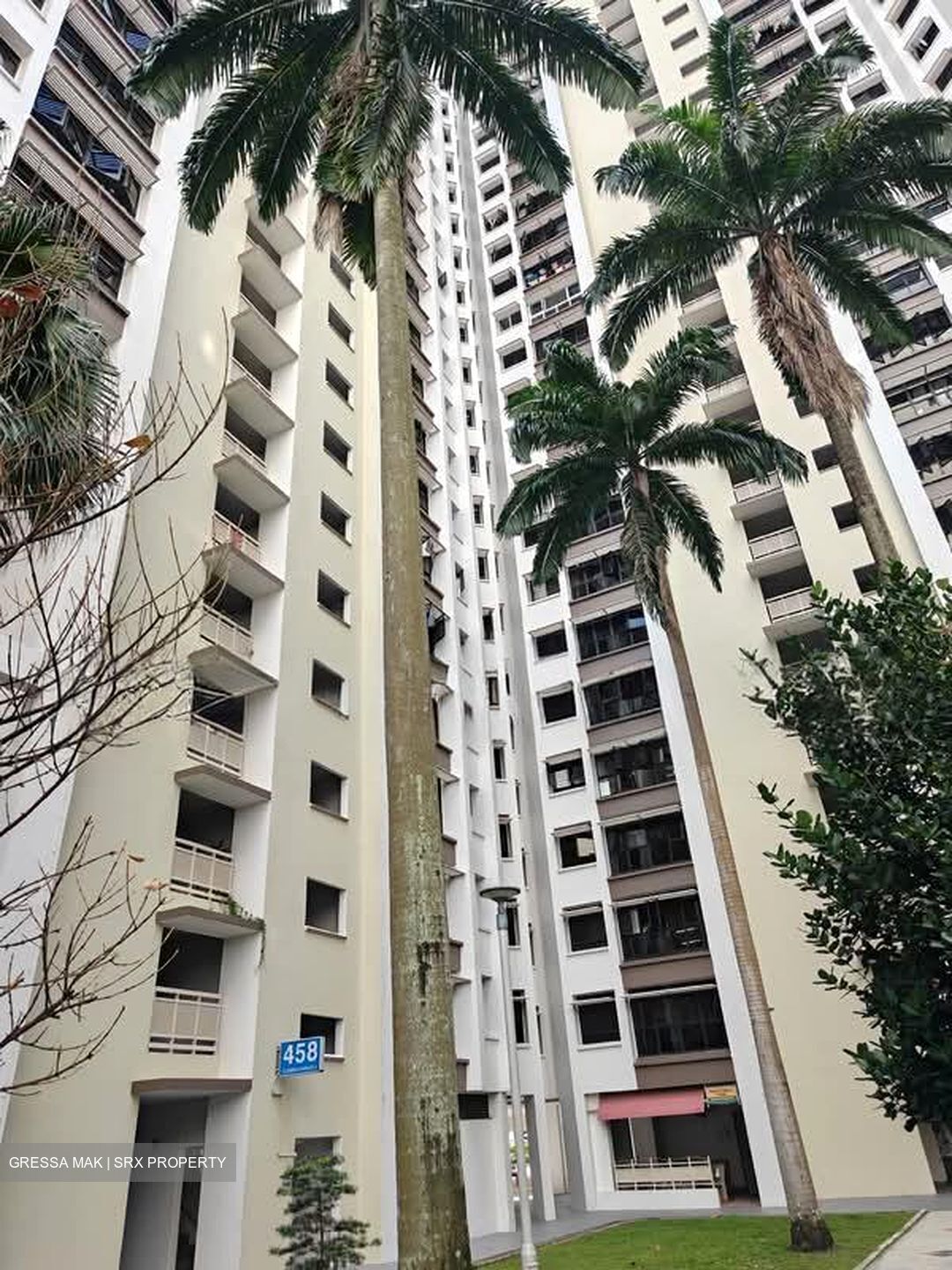 Blk 458 Clementi Avenue 3 (Clementi), HDB 5 Rooms #554253021